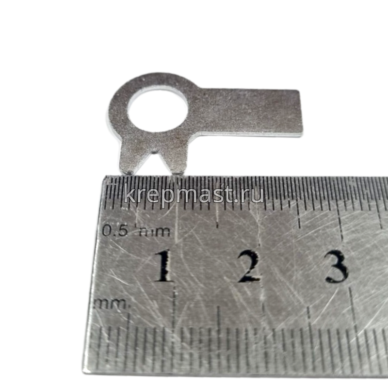 Шайба стопорная ф. 8 ГОСТ 13463 оц. с 2-я лапками