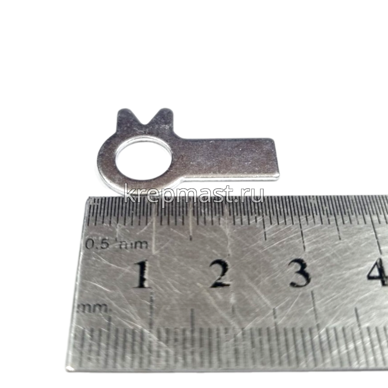 Шайба стопорная ф. 8 ГОСТ 13463 оц. с 2-я лапками